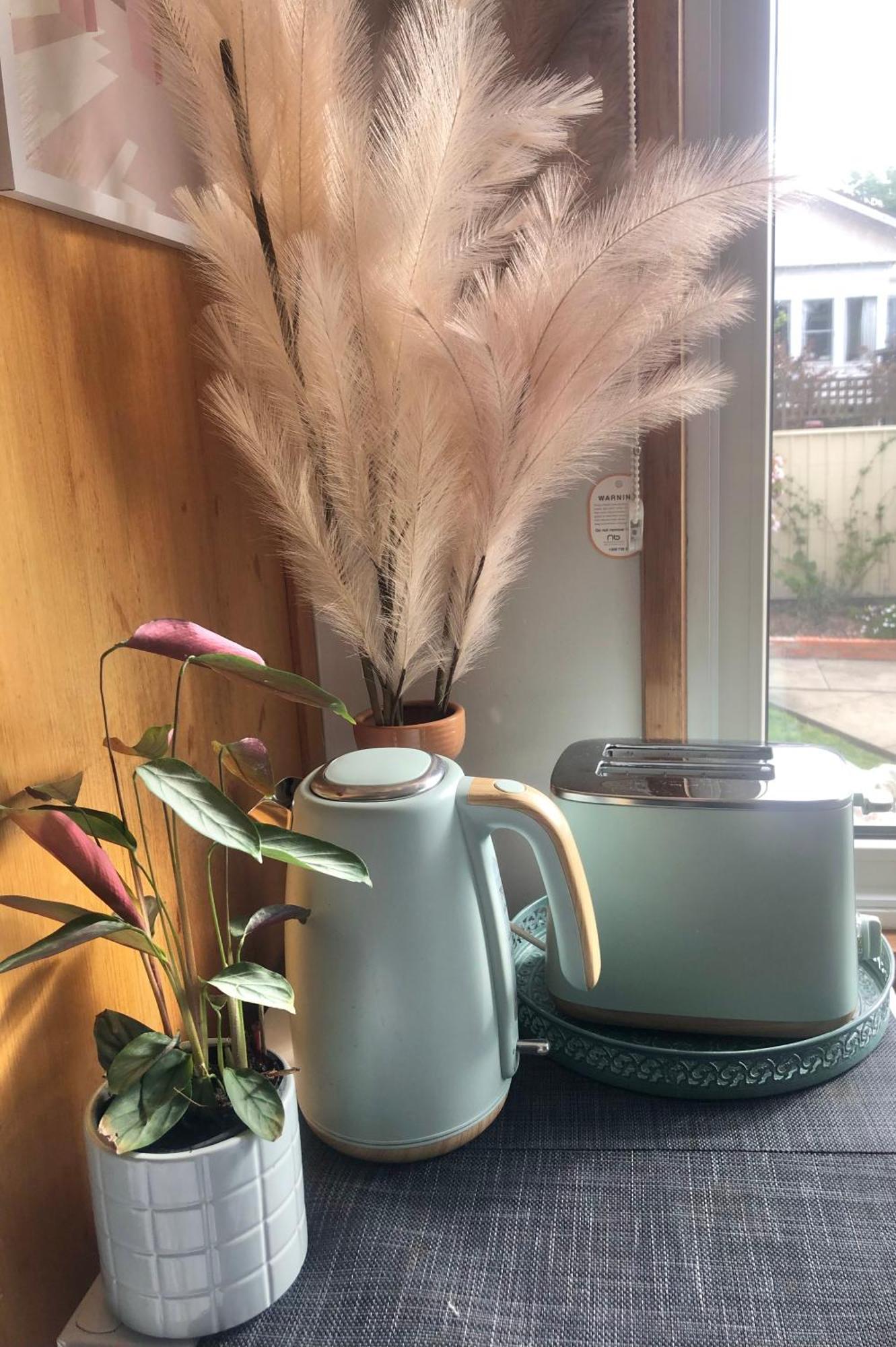 Lovely Budget Vegan Homestay Launceston Exterior foto